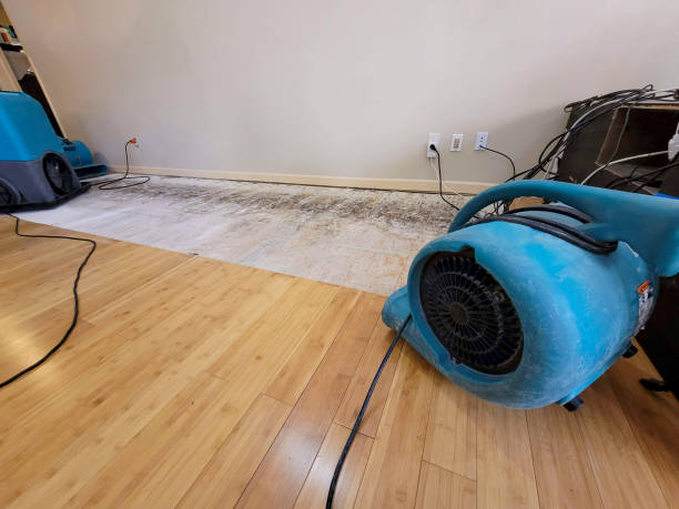 Professional Ceiling Water Damage Repair technician working in Colorado City, CO